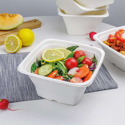 Bols carrés en bagasse - Vaisselle biodégradable et compostable-1