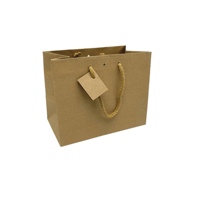 Sacs Luxe chic nature  - Sacs kraft Luxe