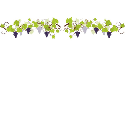 Vitrophanie électrostatique Vigne et Raisin - Déco cavistes Foire aux Vins-1