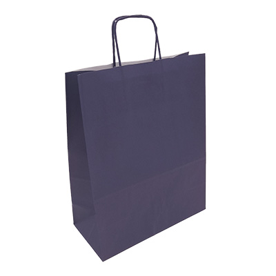 Sacs kraft Blue Navy petit modèle - Sacs kraft unis, poignées torsadées