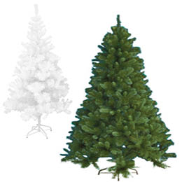 Sapins de Noël